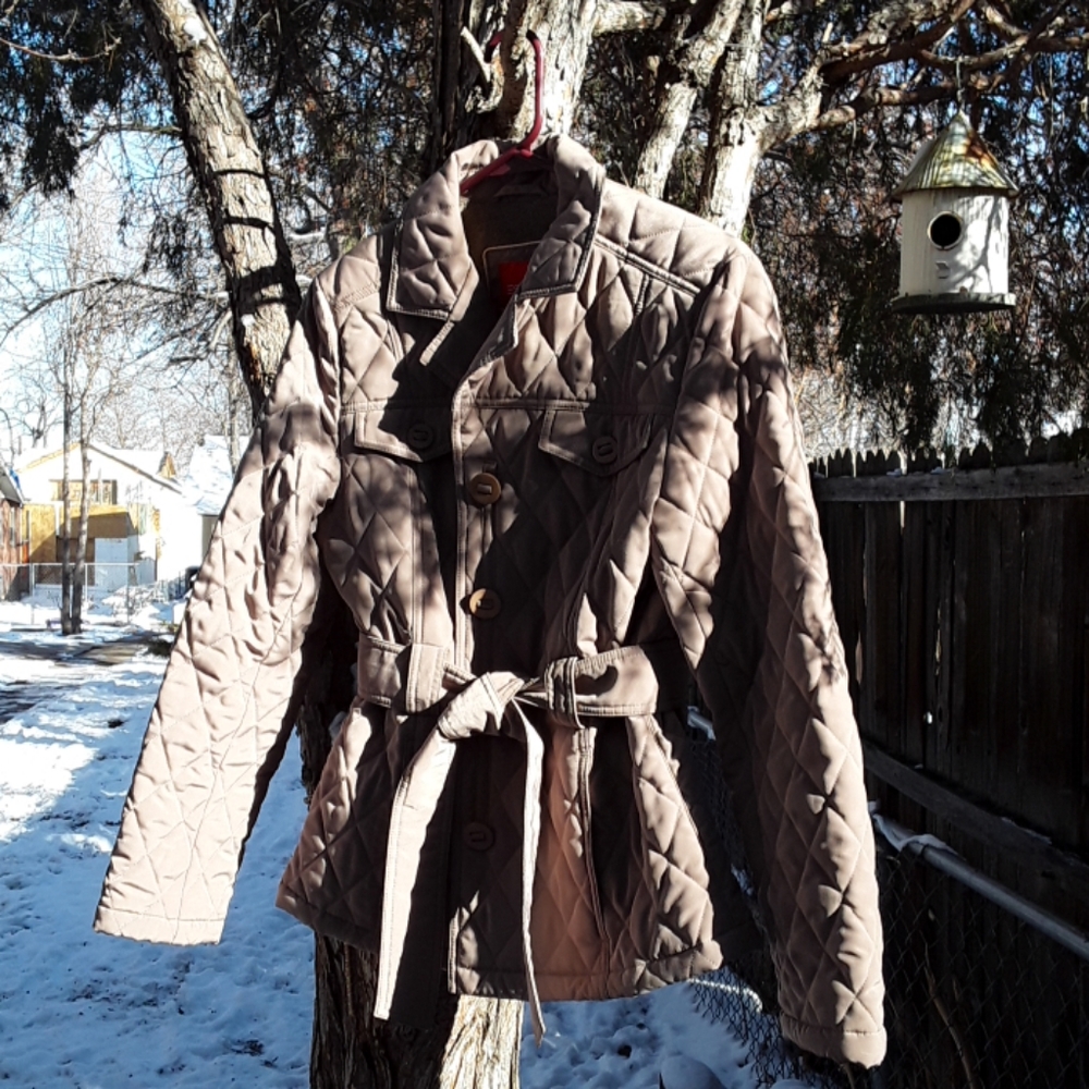 Dressy winter coat
